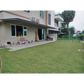 Grass Planting & Installation Service Japanese Grass Carpet / Karpet Rumput Jepun / 日本草草皮 (1'*2' per Piece, 2 sqft)