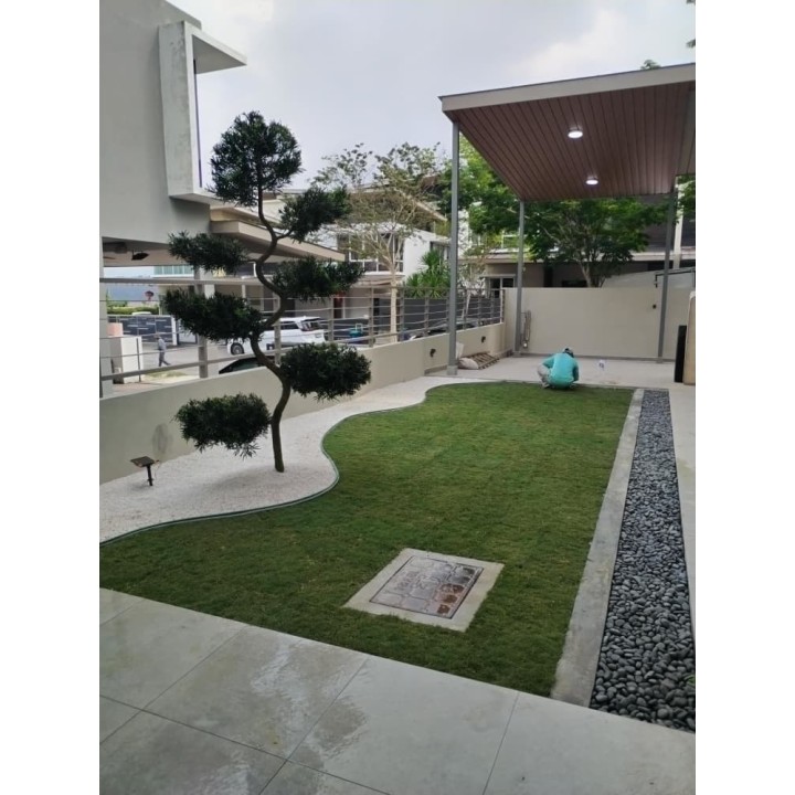 Grass Planting & Installation Service Japanese Grass Carpet / Karpet Rumput Jepun / 日本草草皮 (1'*2' per Piece, 2 sqft)