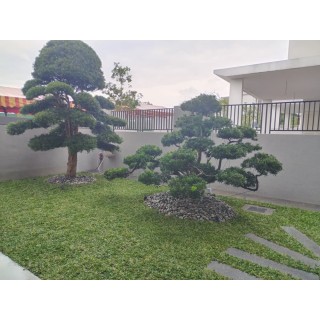 Grass Planting & Installation Service Pearl Grass Carpet / Karpet Rumput Mutiara / 珍珠草草皮 (1'*2' per Piece, 2 Square Feet /sqft)