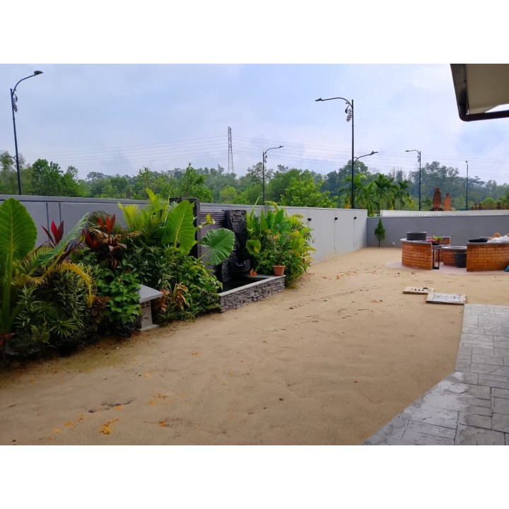 Grass Planting & Installation Service Philippine Grass Carpet / Karpet Rumput Filipina / 菲律宾草草皮 (1'*2' per Piece, 2 Square Feet)