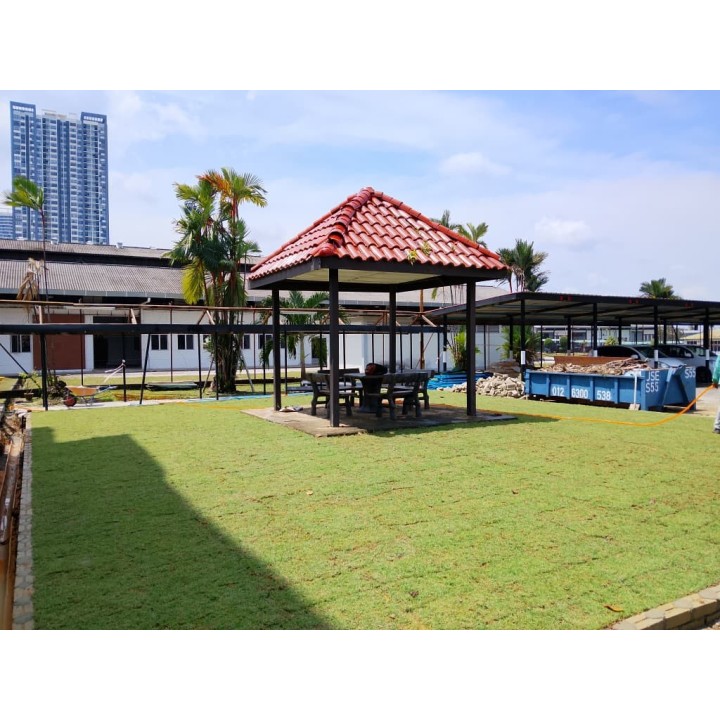 Grass Planting & Installation Service Philippine Grass Carpet / Karpet Rumput Filipina / 菲律宾草草皮 (1'*2' per Piece, 2 Square Feet)