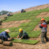 GAP/SPOT TURFING
